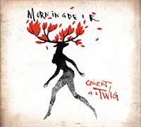 Morningdeer - Concert On A Twig