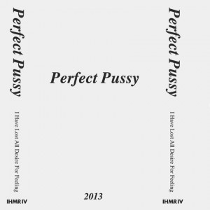 PERFECT PUSSY - I have lost all desire for feeling