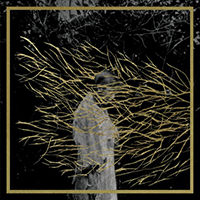 forest_swords_engravings1-500x500